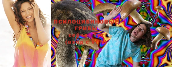 каннабис Баксан