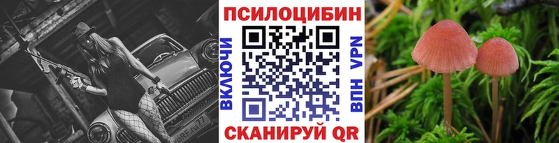 Галлюциногенные грибы Psilocybine cubensis Электрогорск