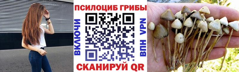 Галлюциногенные грибы Cubensis  где купить наркотик  Электрогорск 